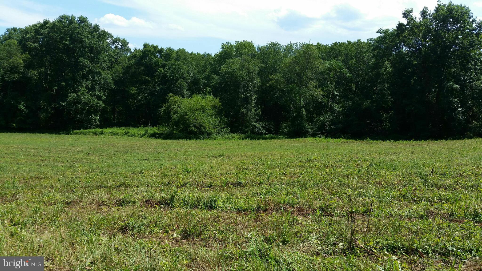 Ashville Road Delaplane, VA 20144 - Photo 3 of 26 View