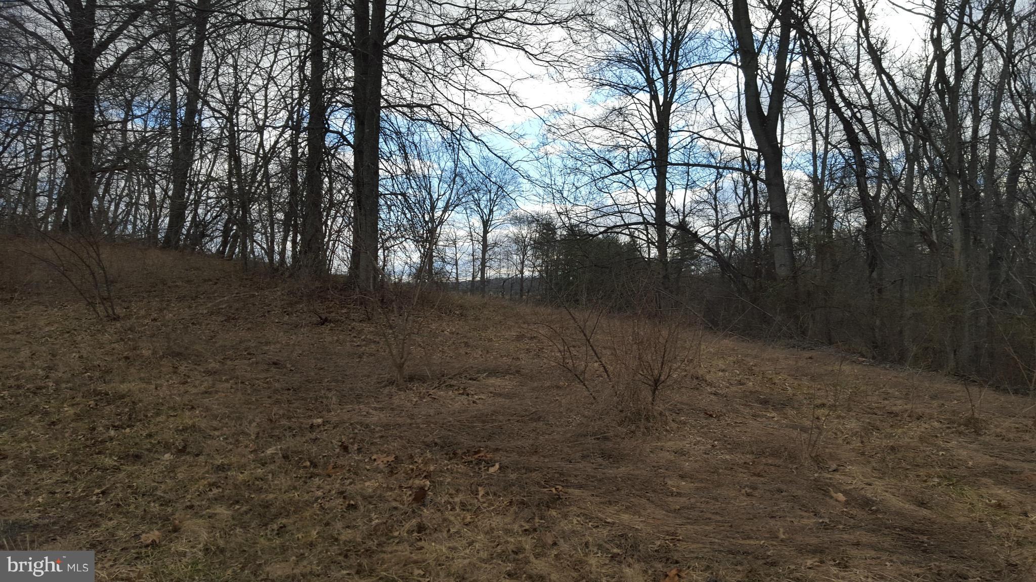 Ashville Road Delaplane, VA 20144 - Photo 22 of 26 View