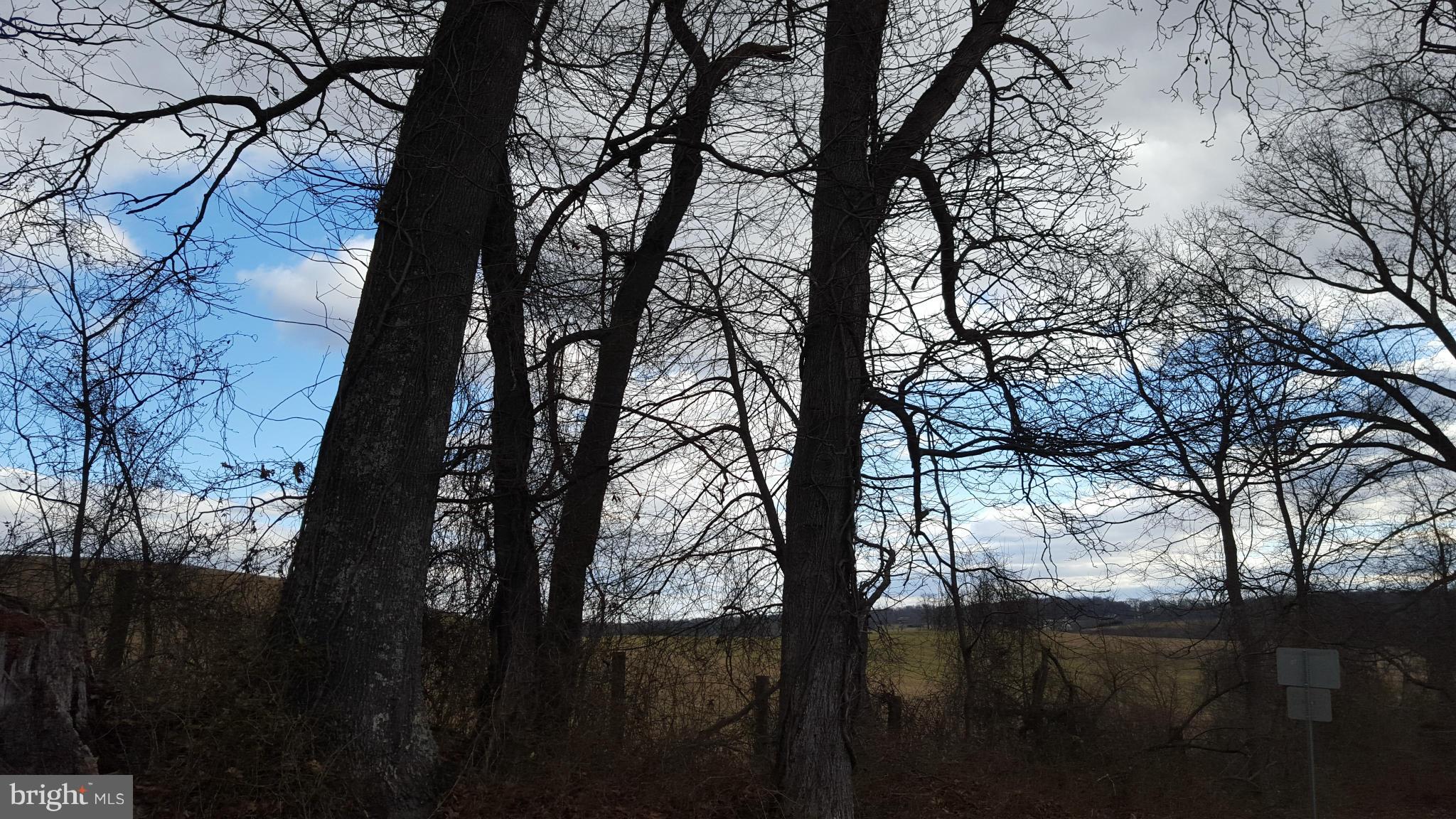 Ashville Road Delaplane, VA 20144 - Photo 23 of 26 View