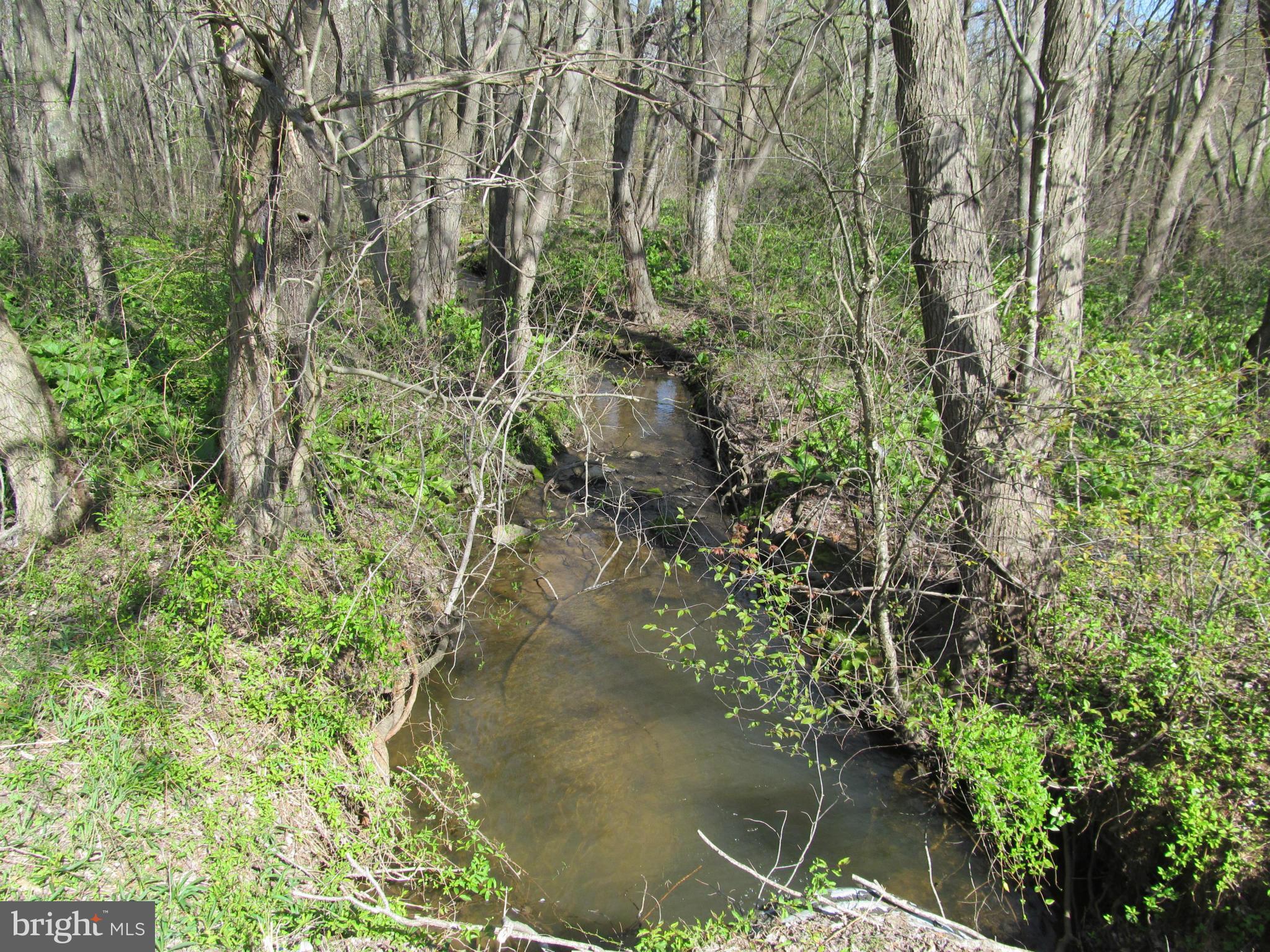 Ashville Road Delaplane, VA 20144 - Photo 4 of 26 View