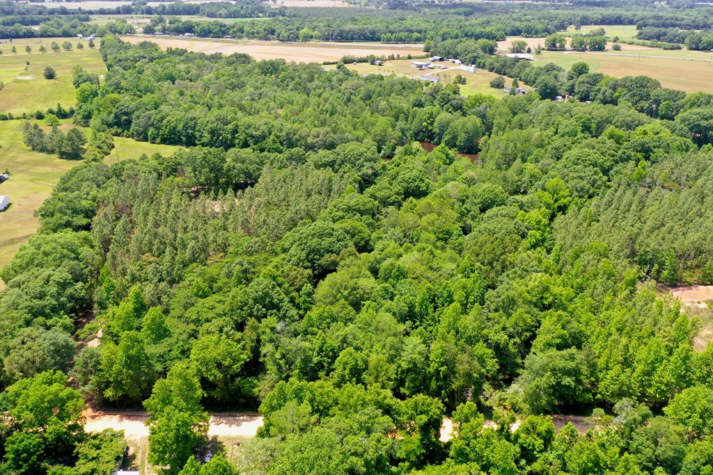 0 South Watford Road Slocomb, AL 36375 - Photo 11 of 14