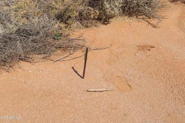a view of a dry yard with wooden fence and mountain view