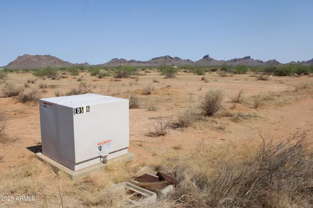 a view of a dry yard with mountains in the background