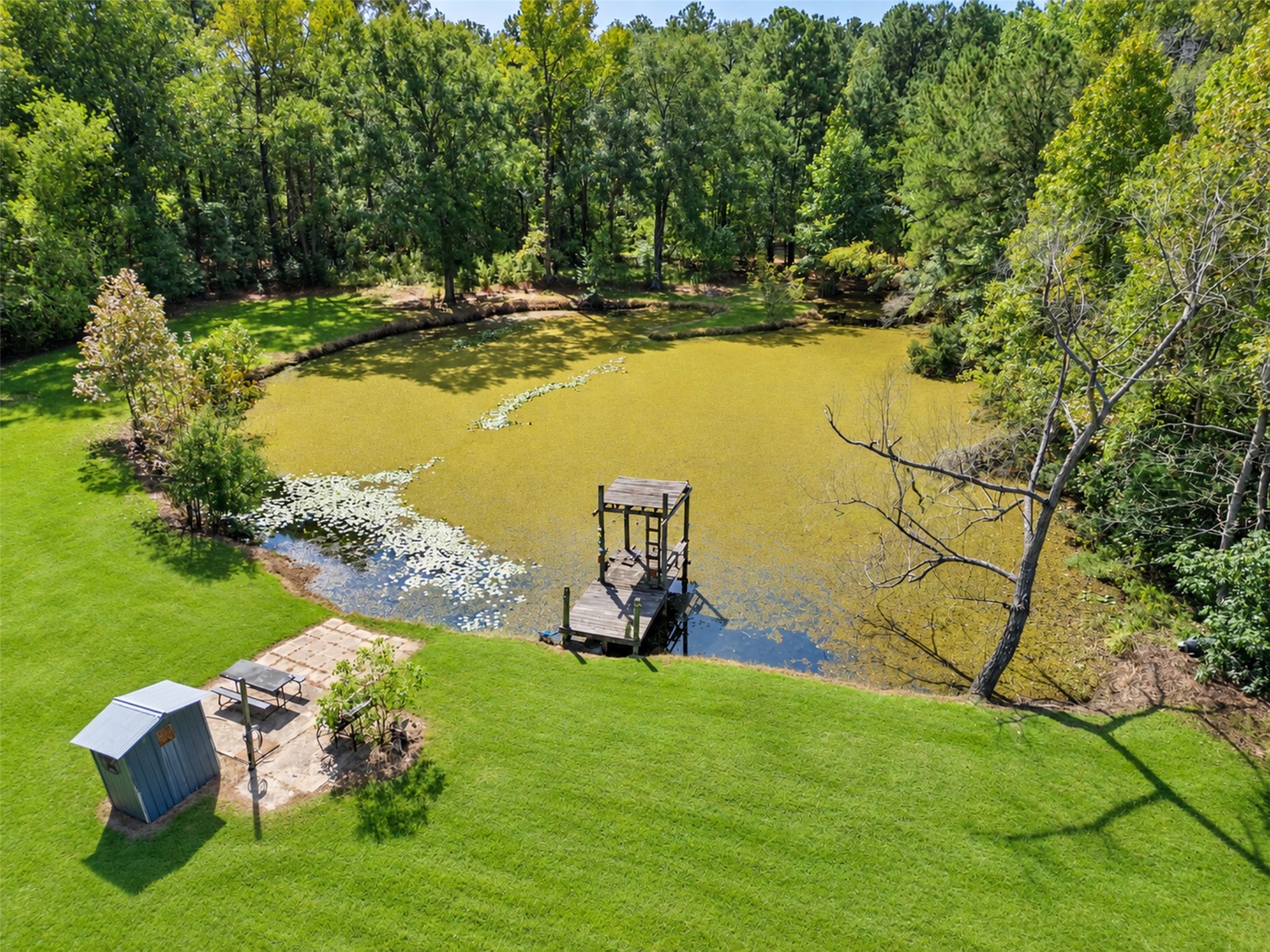 2009 Holder Rambo Drive Huffman, TX 77336 - Photo 4 of 31 Expansive backyard oasis with a serene pond, lush greenery, and a charming dock for relaxation and leisure.