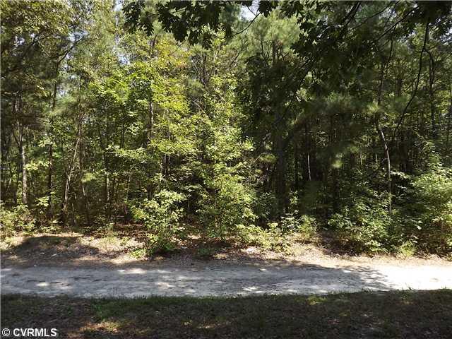 11617 Quaker Road Dinwiddie, VA 23841 - Photo 5 of 19 Land/Lot