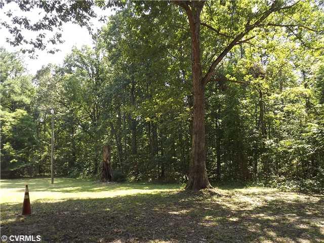 11617 Quaker Road Dinwiddie, VA 23841 - Photo 8 of 19 Land/Lot