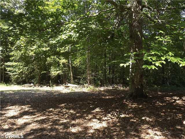 11617 Quaker Road Dinwiddie, VA 23841 - Photo 9 of 19 Land/Lot