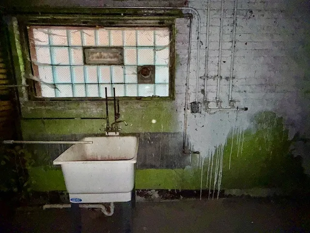 a backyard of a house with large trees