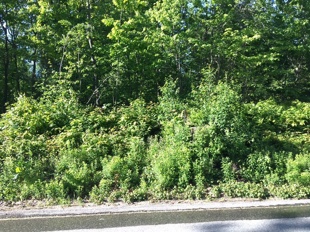 Lot 3 Central Tree Road Rutland, MA 01543 - Photo 1 of 1 Gallery Image 1
