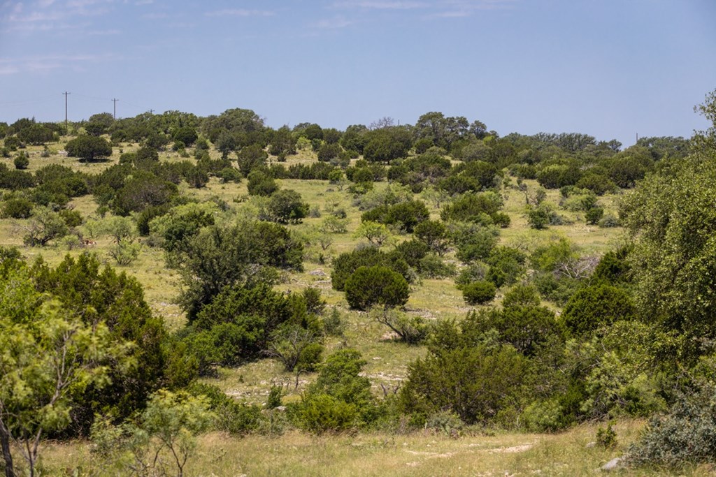32020 County Road Roosevelt, TX 76874 - Photo 19 of 35 Gallery Image 19