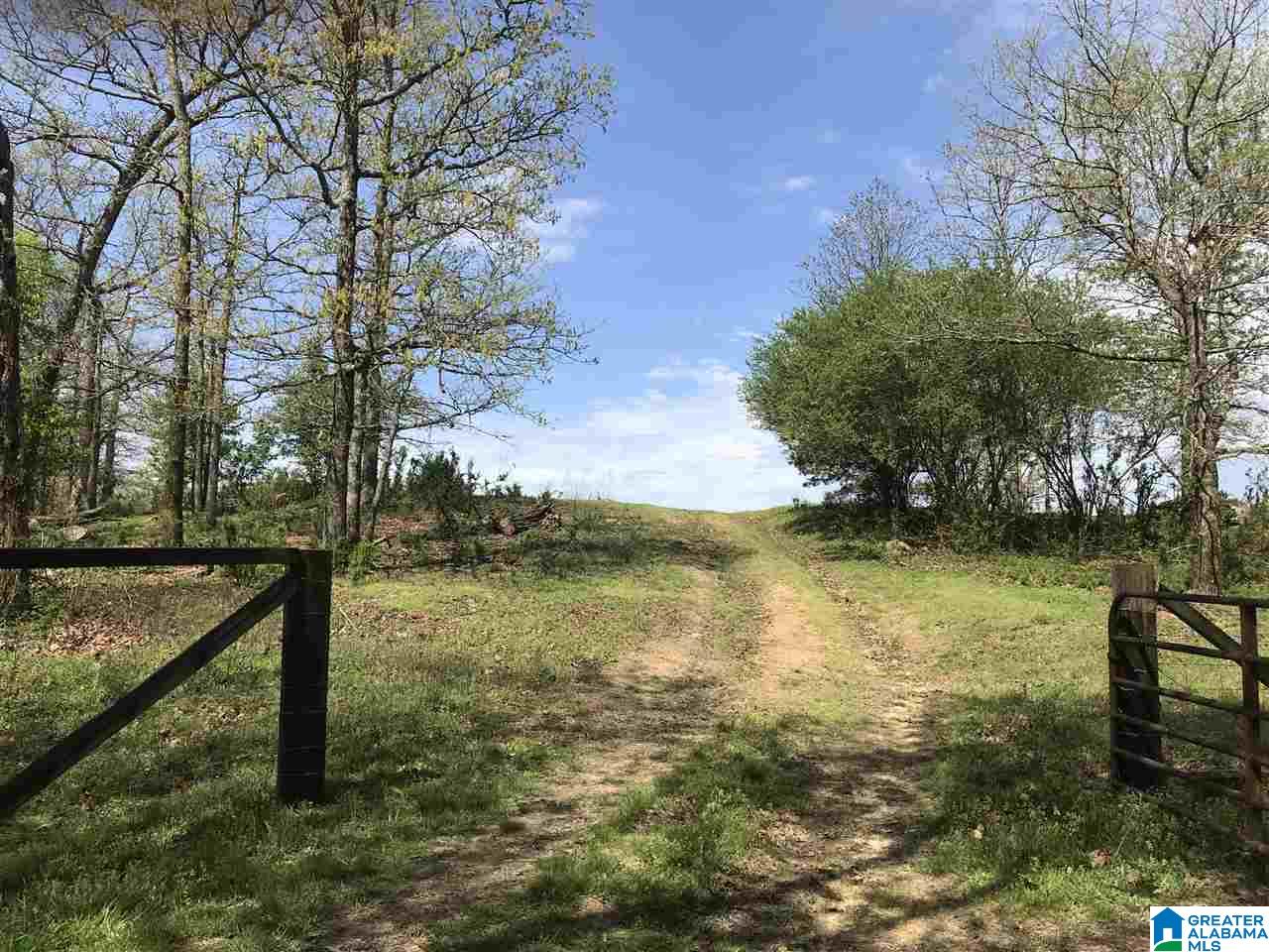1241 Reneau Road Oneonta, AL 35121 - Photo 47 of 50