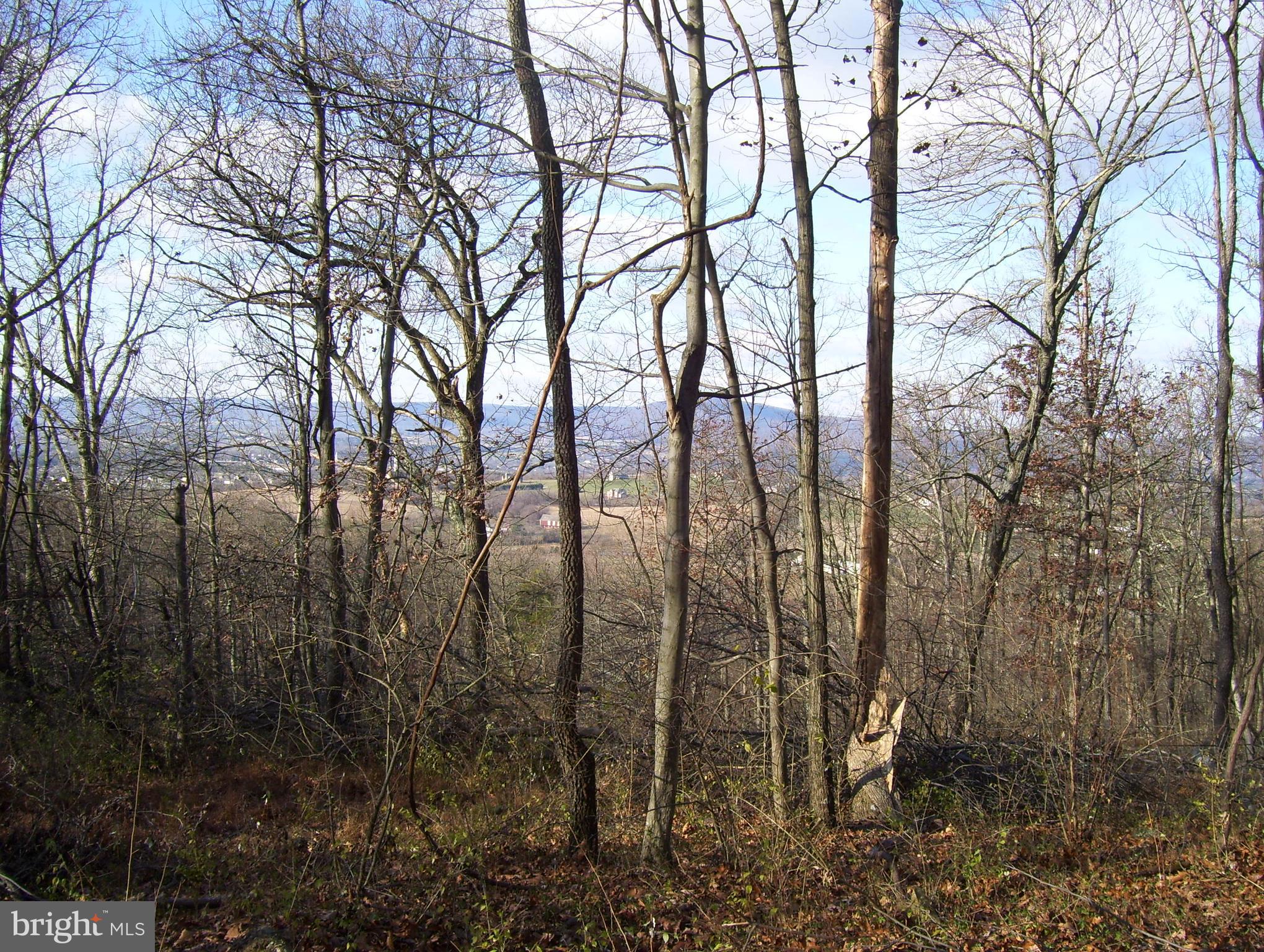 Ridge Road Middletown, MD 21769 - Photo 14 of 14