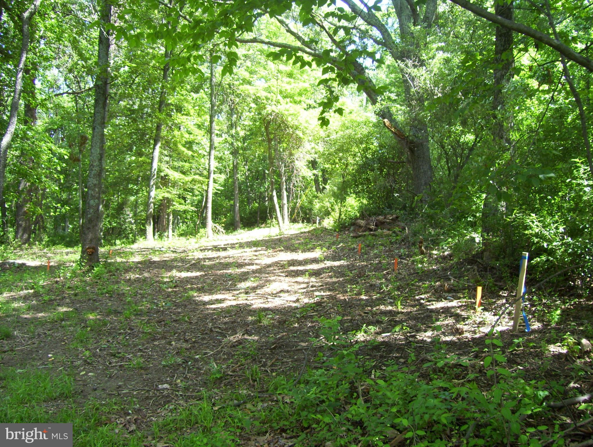 Ridge Road Middletown, MD 21769 - Photo 3 of 14 Stakes denote the area perked for septic system