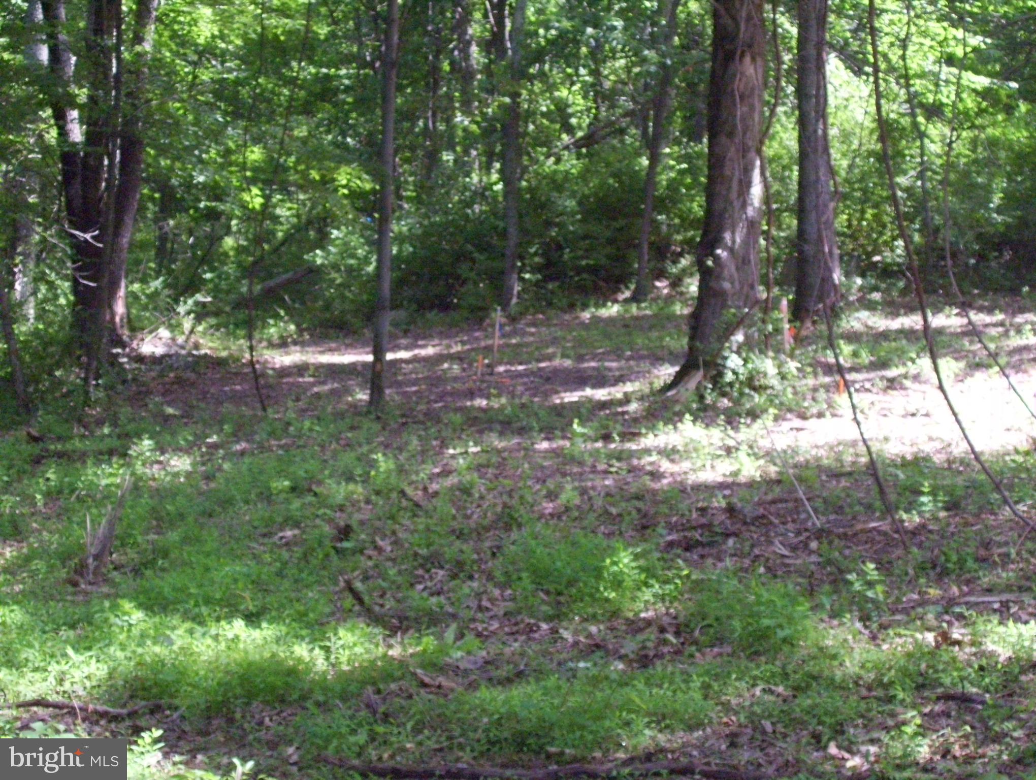 Ridge Road Middletown, MD 21769 - Photo 4 of 14