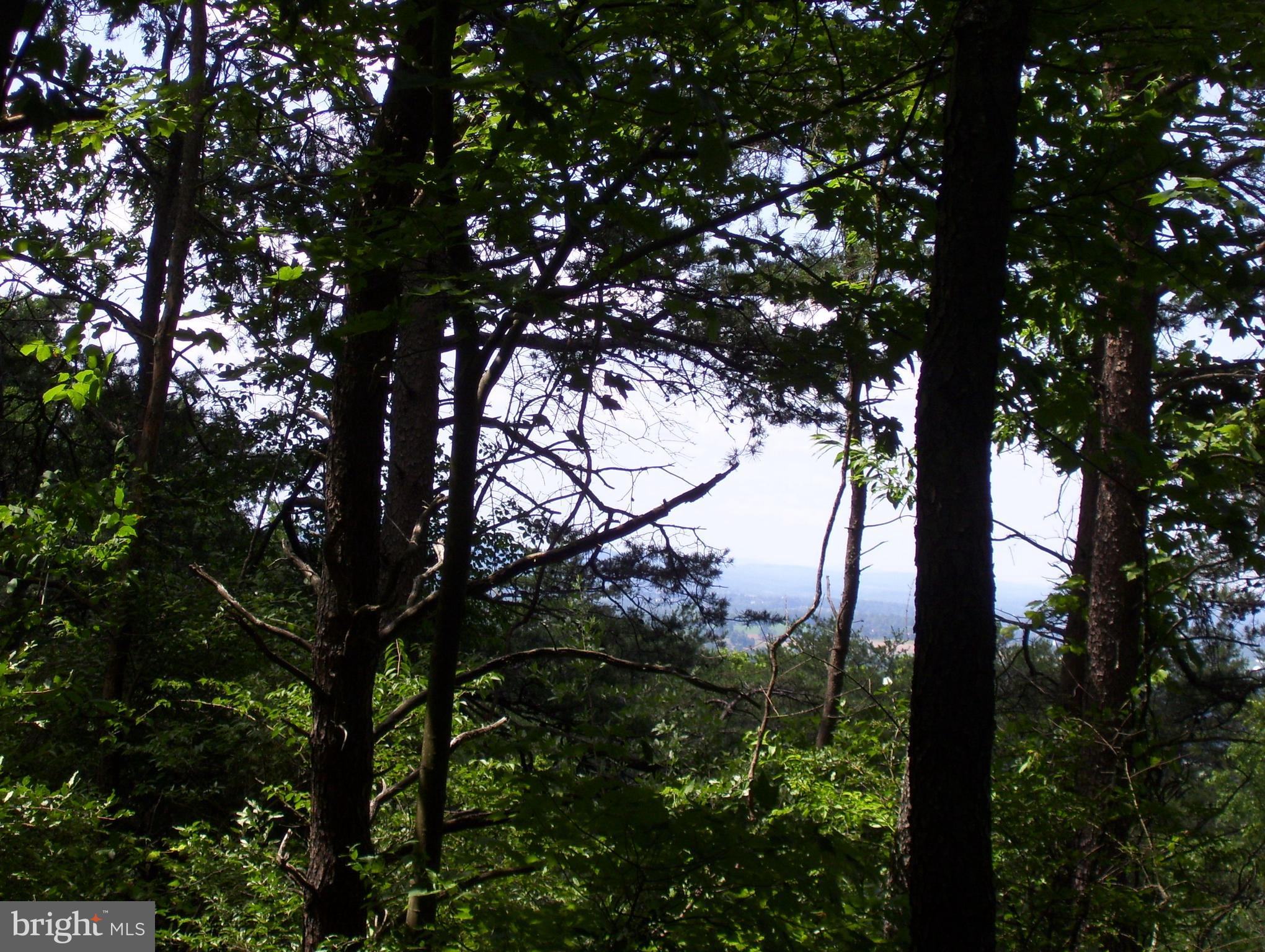 Ridge Road Middletown, MD 21769 - Photo 6 of 14
