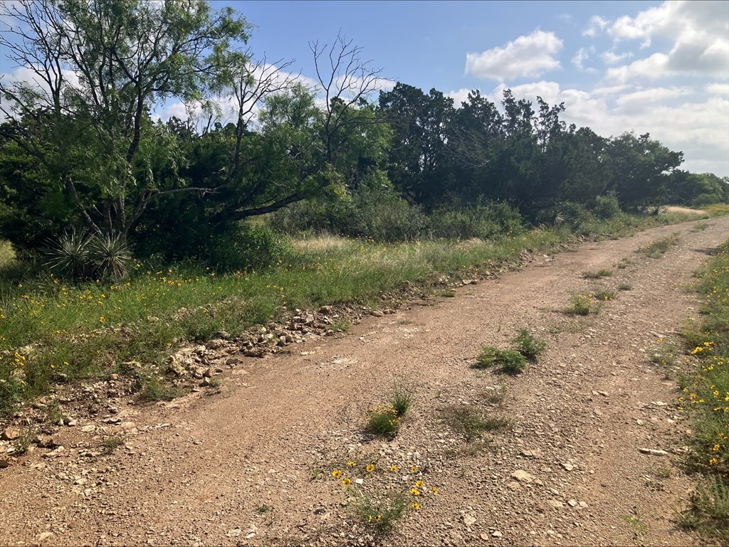 4605 West Ranch Road Mason, TX 76856 - Photo 23 of 26