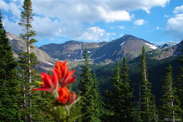 $666,666 | 421 West Meadow Mile, Unit 4, Fraser, CO 80442