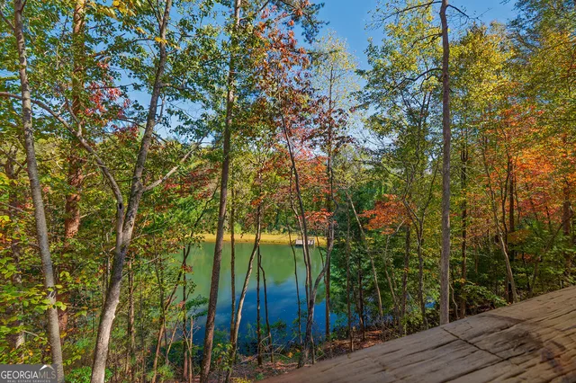 a view of a backyard