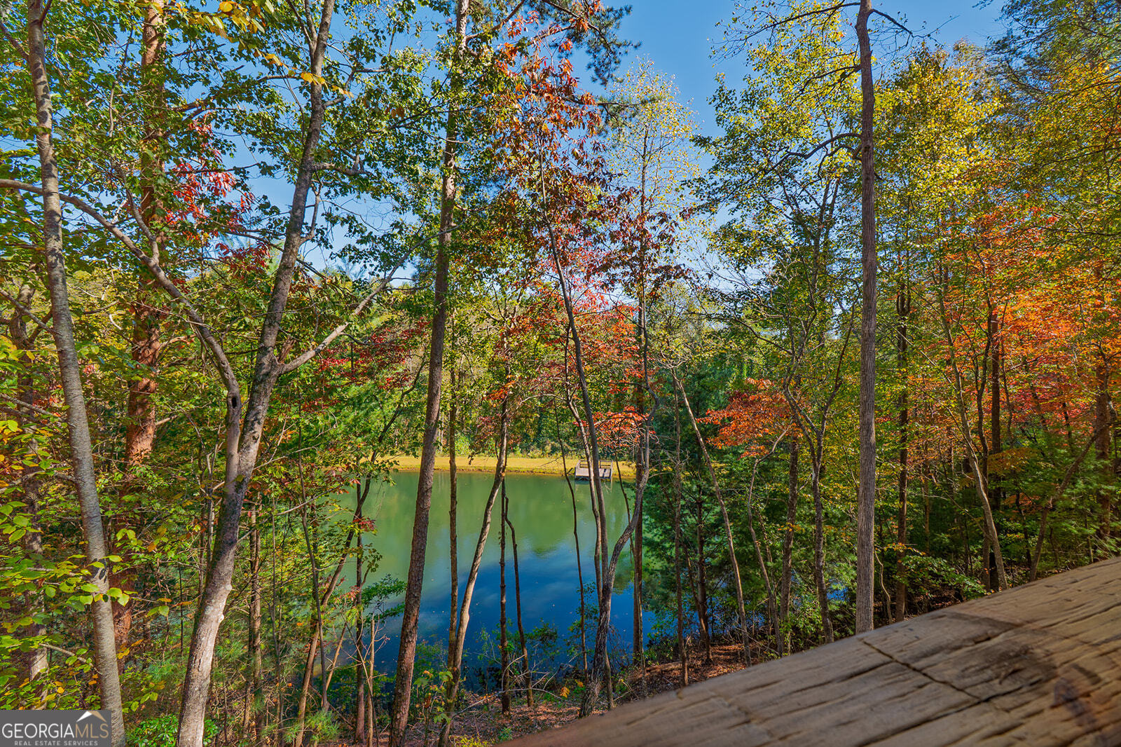 85 Moreland Trail Cherry Log, GA 30522 - Photo 21 of 37 a view of an outdoor space
