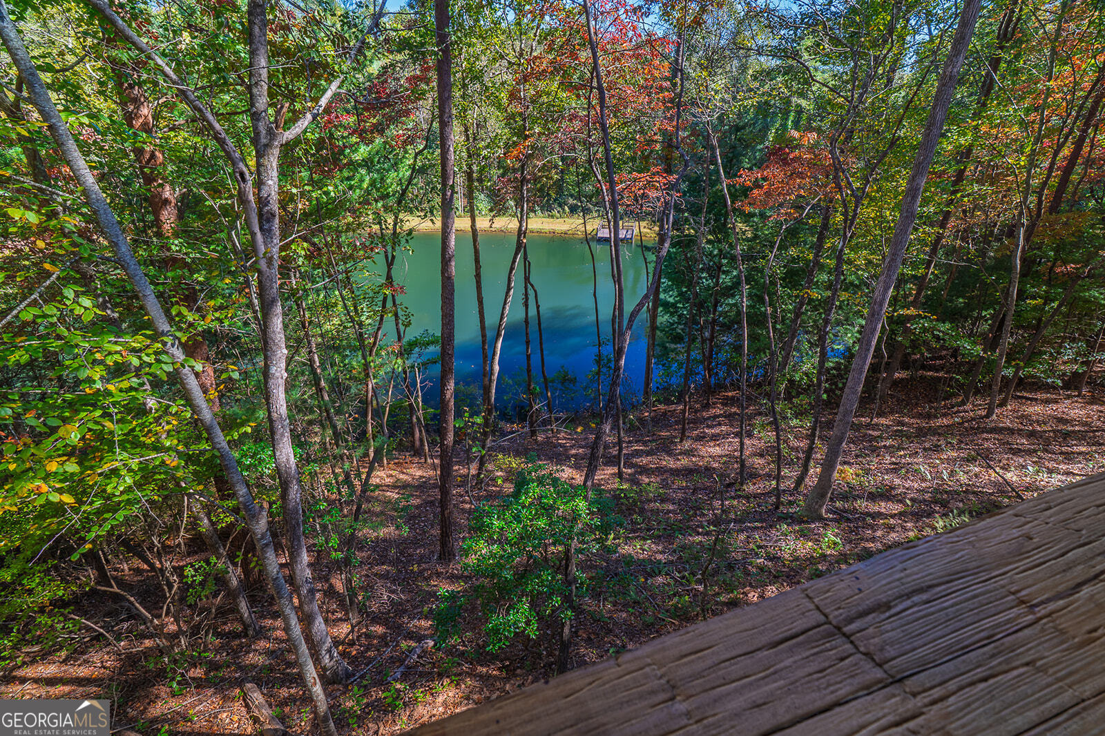 85 Moreland Trail Cherry Log, GA 30522 - Photo 22 of 37 a view of a backyard