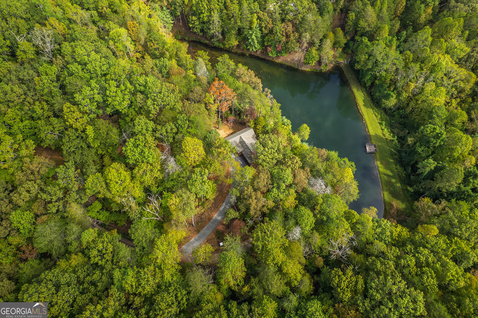 85 Moreland Trail Cherry Log, GA 30522 - Photo 27 of 37 a view of a lake