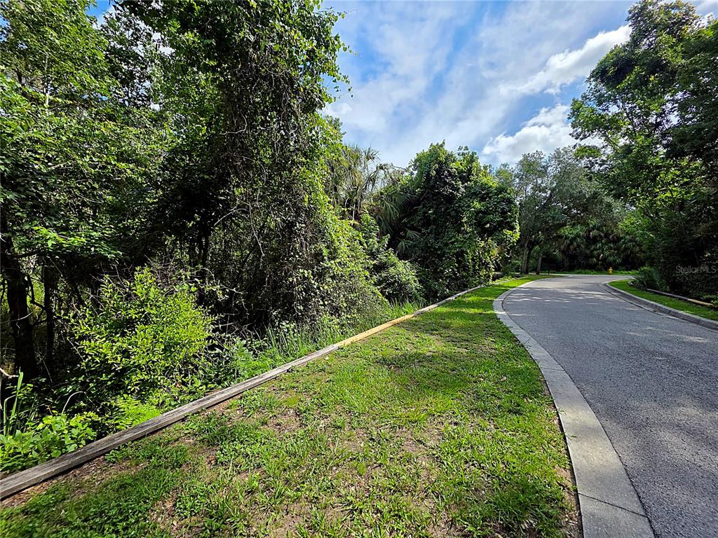 4876 Rambling River Road Brandon, FL 33511 - Photo 8 of 10 a view of a garden