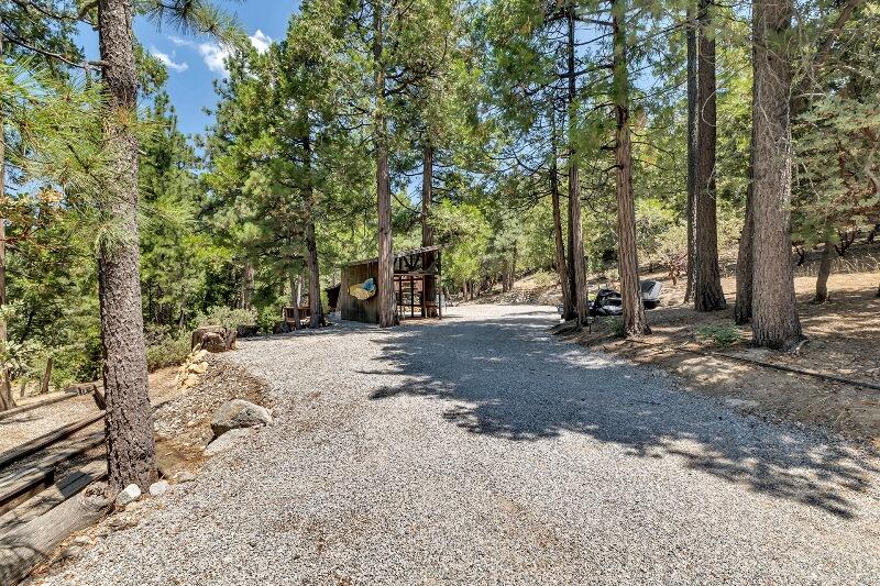 27240 Saunders Meadow Road Idyllwild, CA 92549 - Photo 2 of 51 a view of a tree in the middle of a yard