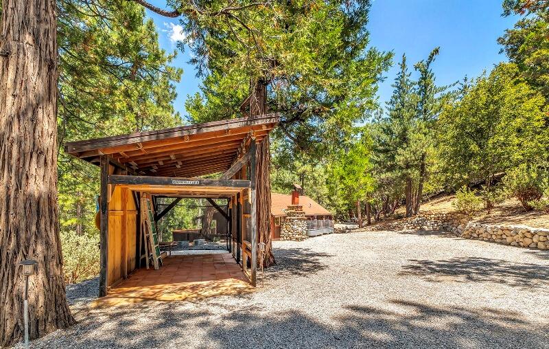 27240 Saunders Meadow Road Idyllwild, CA 92549 - Photo 4 of 51 a view of a yard with a tree