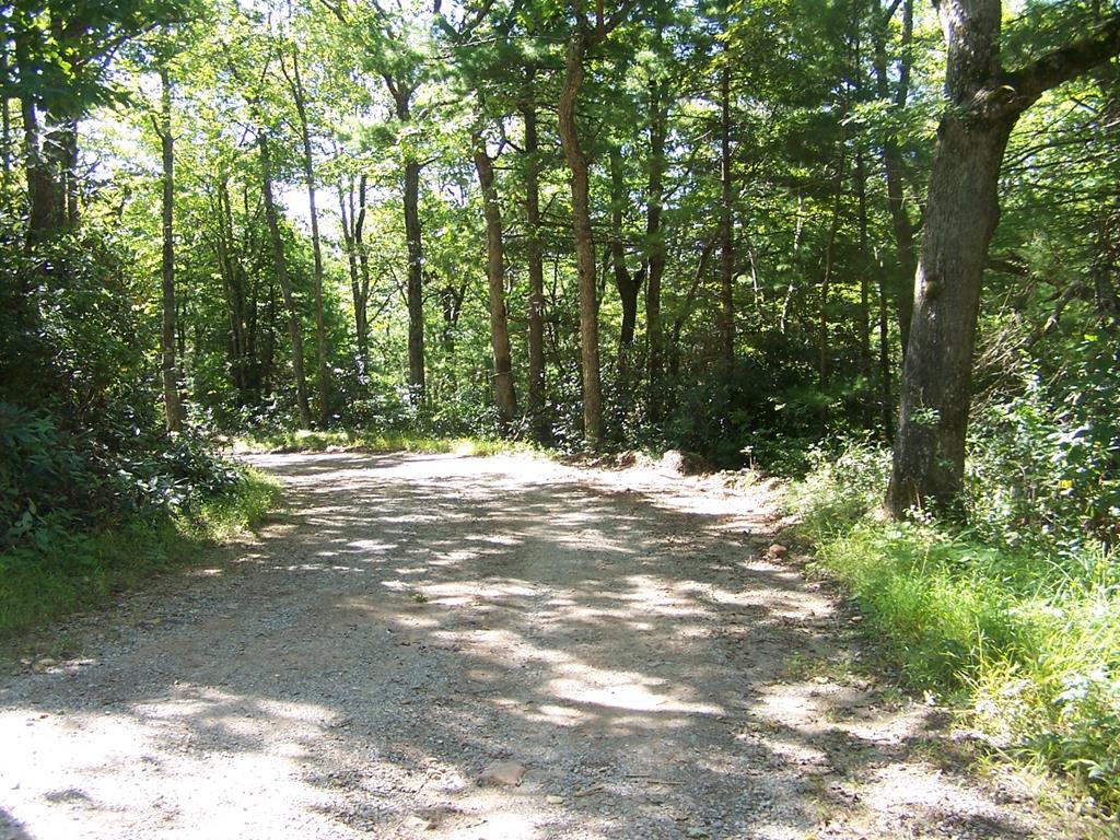 Tbd Blue Springs Road, Unit 18A2 Troutdale, VA 24378 - Photo 41 of 42 Gallery Image 41
