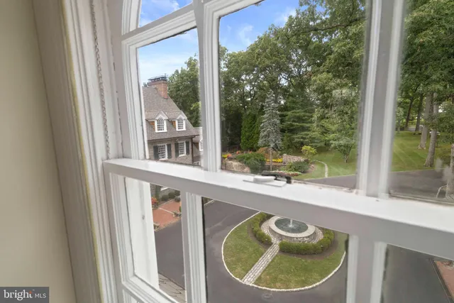 a view of a yard with plants and large trees