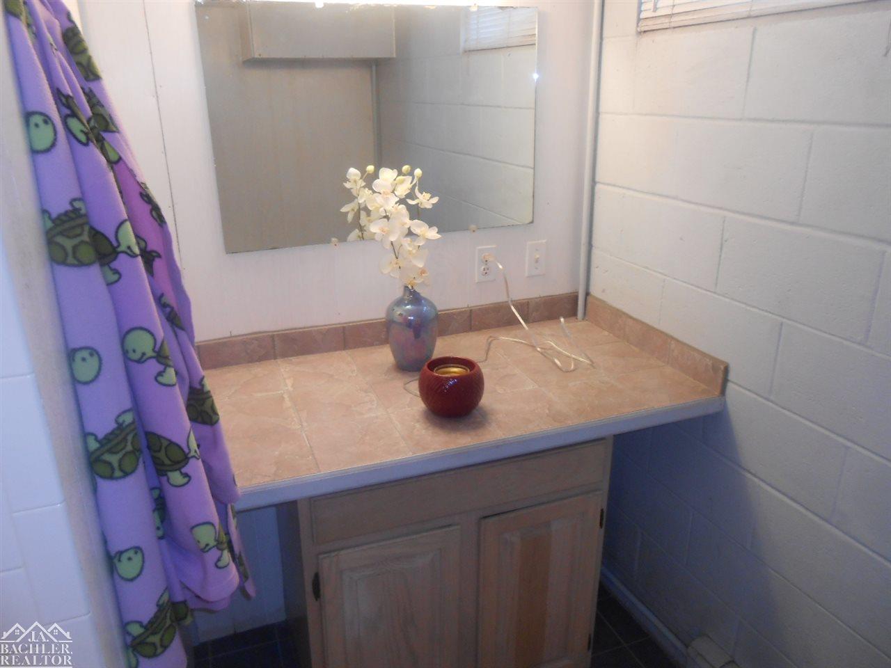 643 Meisner Road East China, MI 48054 - Photo 23 of 40 31293738-22.JPG