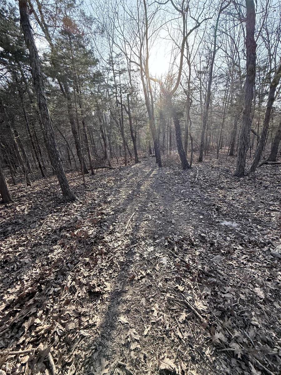 0 Hardecke Road Sullivan, MO 63080 - Photo 12 of 25