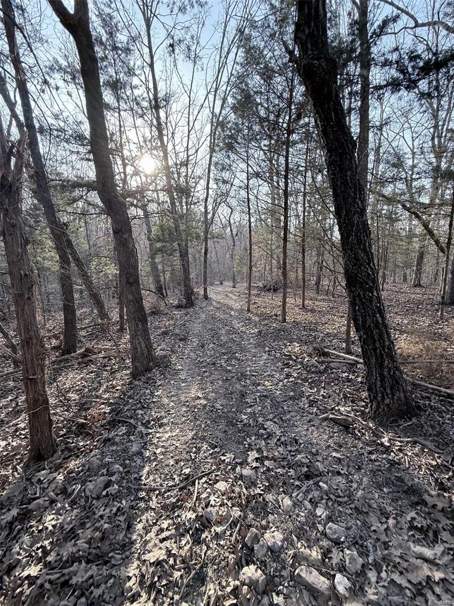 0 Hardecke Road Sullivan, MO 63080 - Photo 13 of 25