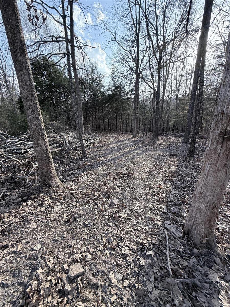 0 Hardecke Road Sullivan, MO 63080 - Photo 14 of 25