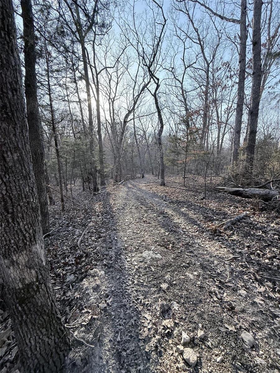 0 Hardecke Road Sullivan, MO 63080 - Photo 15 of 25