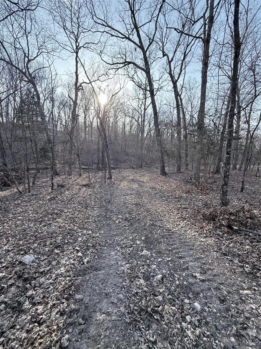 0 Hardecke Road Sullivan, MO 63080 - Photo 16 of 25