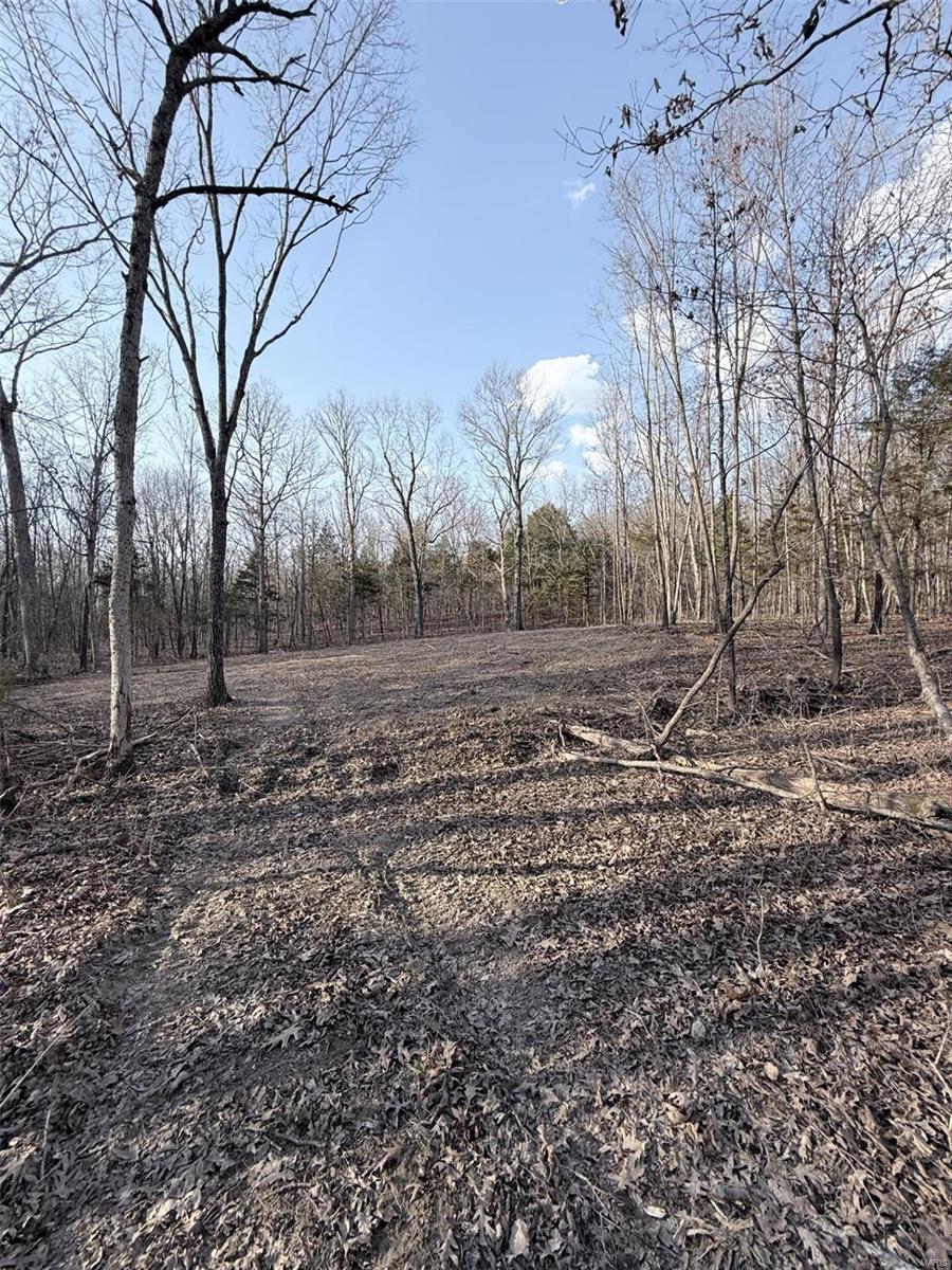 0 Hardecke Road Sullivan, MO 63080 - Photo 17 of 25