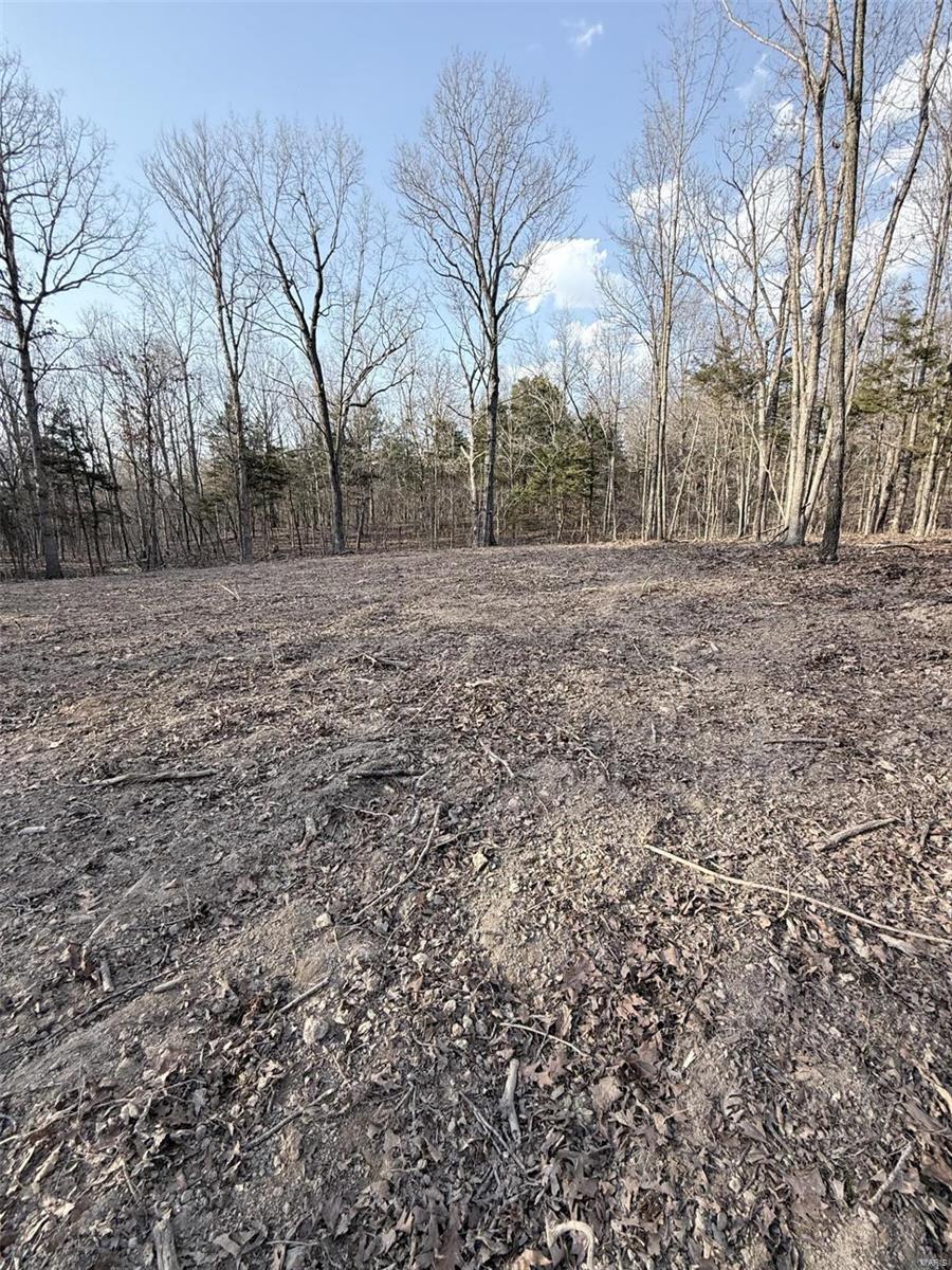 0 Hardecke Road Sullivan, MO 63080 - Photo 18 of 25