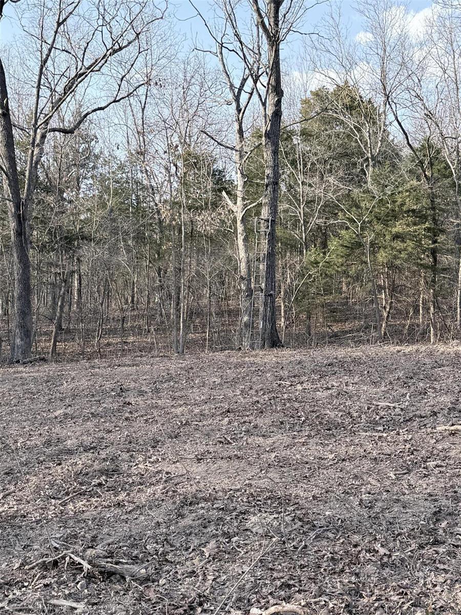 0 Hardecke Road Sullivan, MO 63080 - Photo 19 of 25