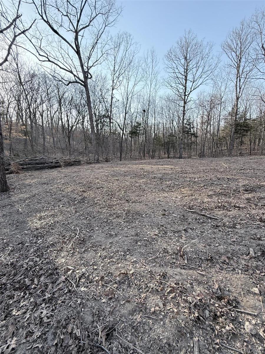 0 Hardecke Road Sullivan, MO 63080 - Photo 20 of 25