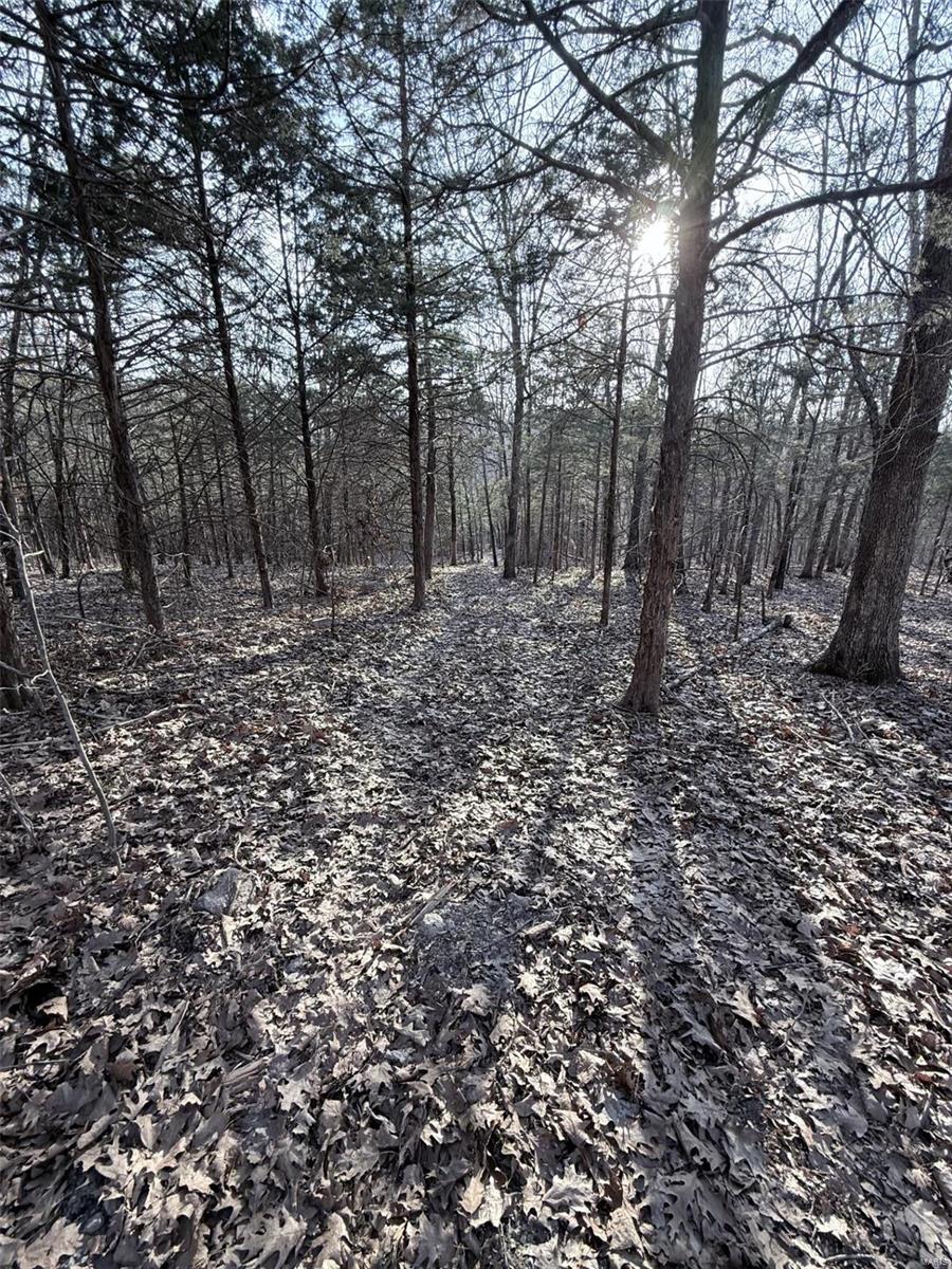 0 Hardecke Road Sullivan, MO 63080 - Photo 22 of 25