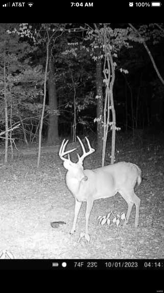 0 Hardecke Road Sullivan, MO 63080 - Photo 23 of 25