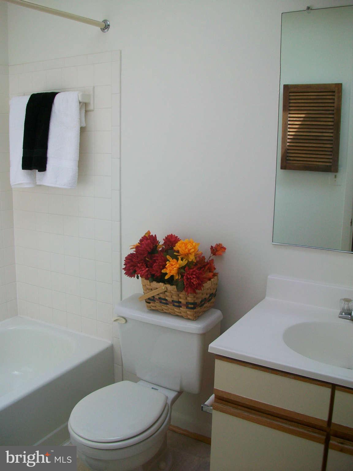 6344 Red Haven Road Columbia, MD 21045 - Photo 11 of 14 a white toilet sitting next to a bathroom sink