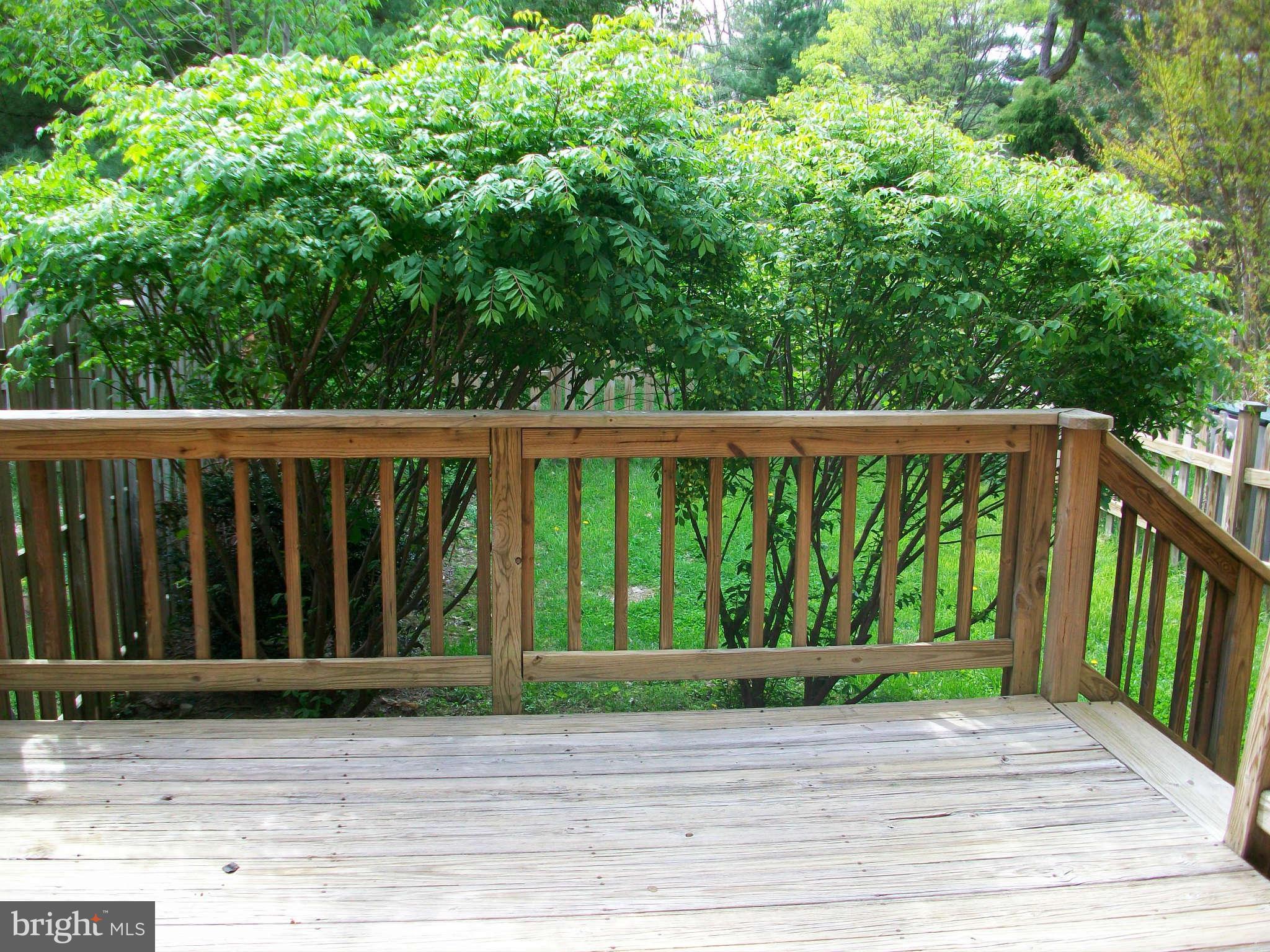 6344 Red Haven Road Columbia, MD 21045 - Photo 13 of 14 a view of a porch with a backyard