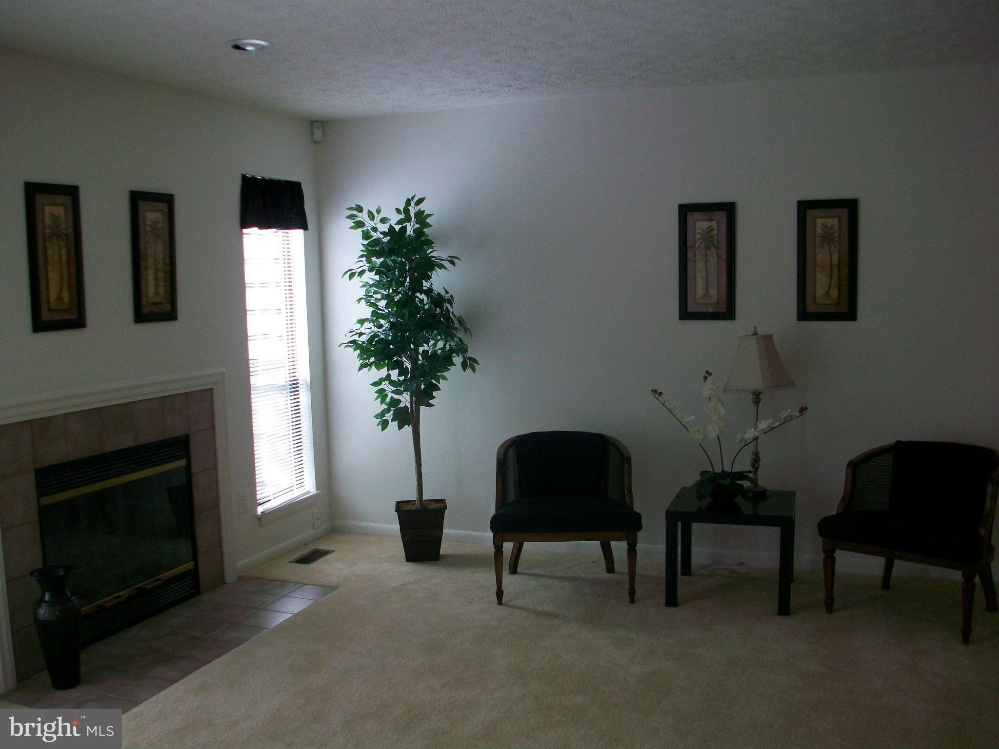 6344 Red Haven Road Columbia, MD 21045 - Photo 7 of 14 a living room with furniture a potted plant and a fireplace