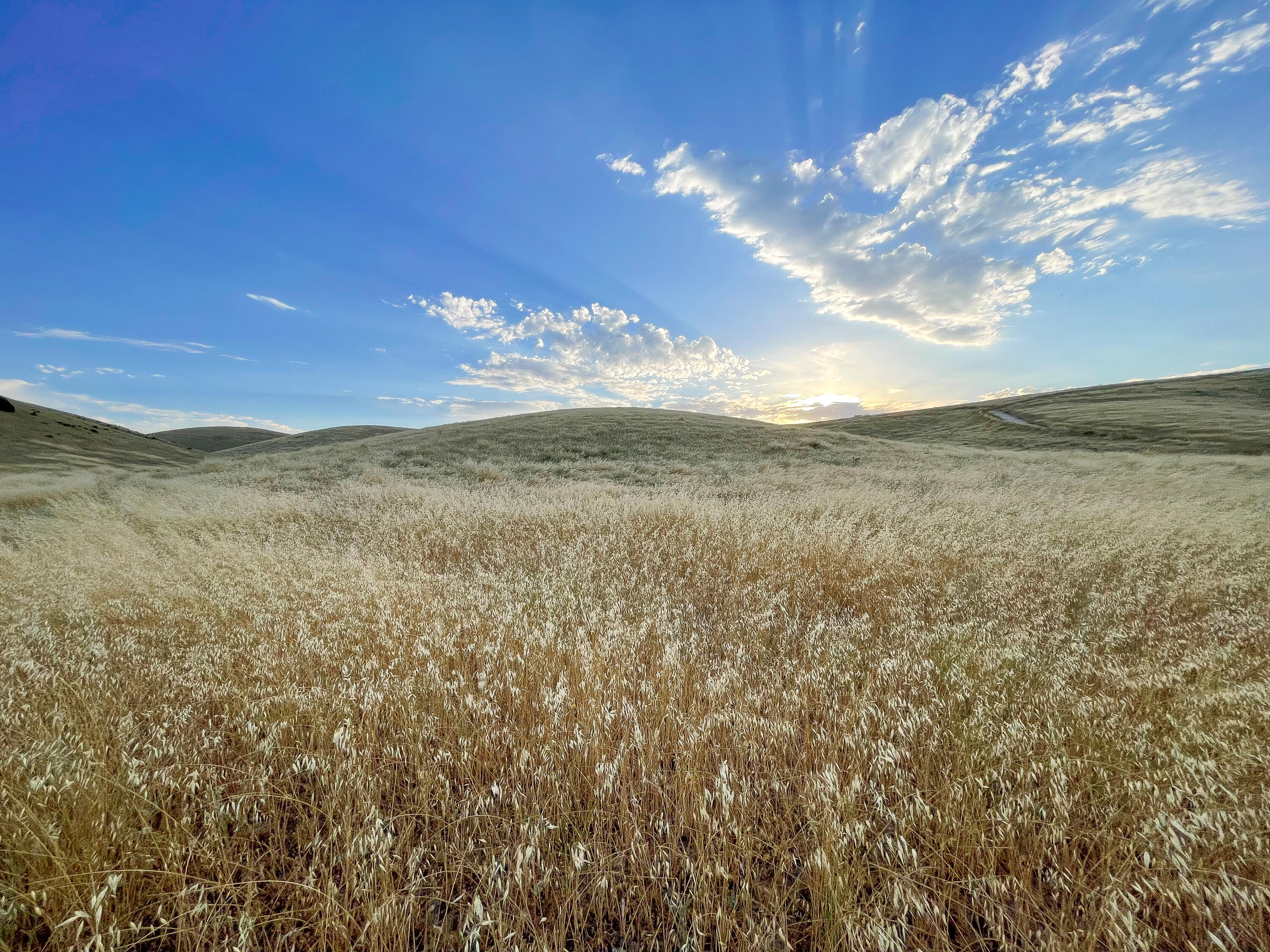 0 East E Highway Templeton, CA 93465 - Photo 14 of 84 3