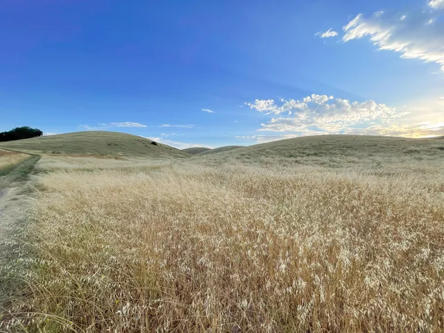 a view of a houses with a yard