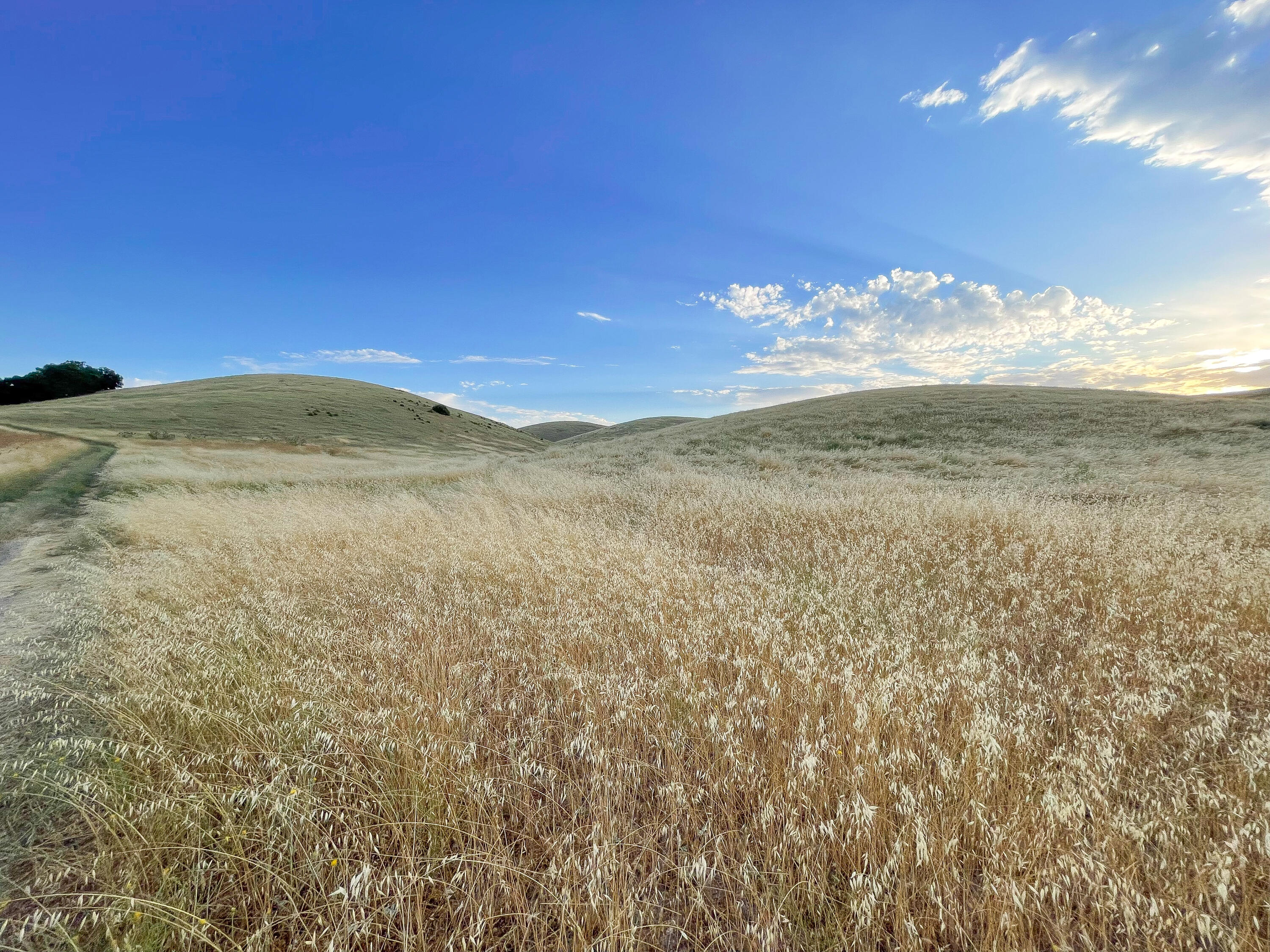 0 East E Highway Templeton, CA 93465 - Photo 15 of 84 4