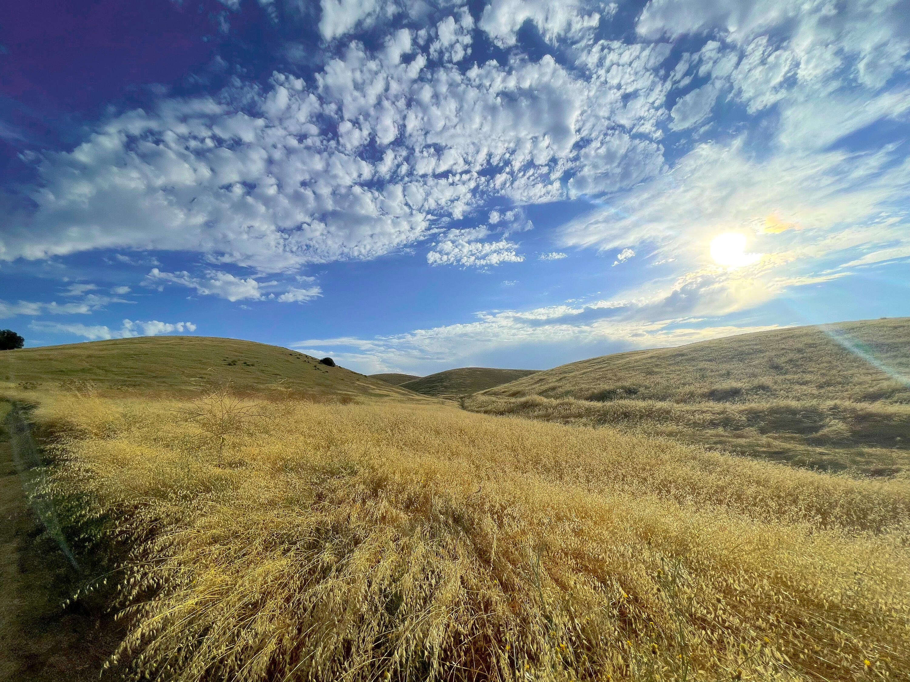 0 East E Highway Templeton, CA 93465 - Photo 17 of 84 a view of an ocean