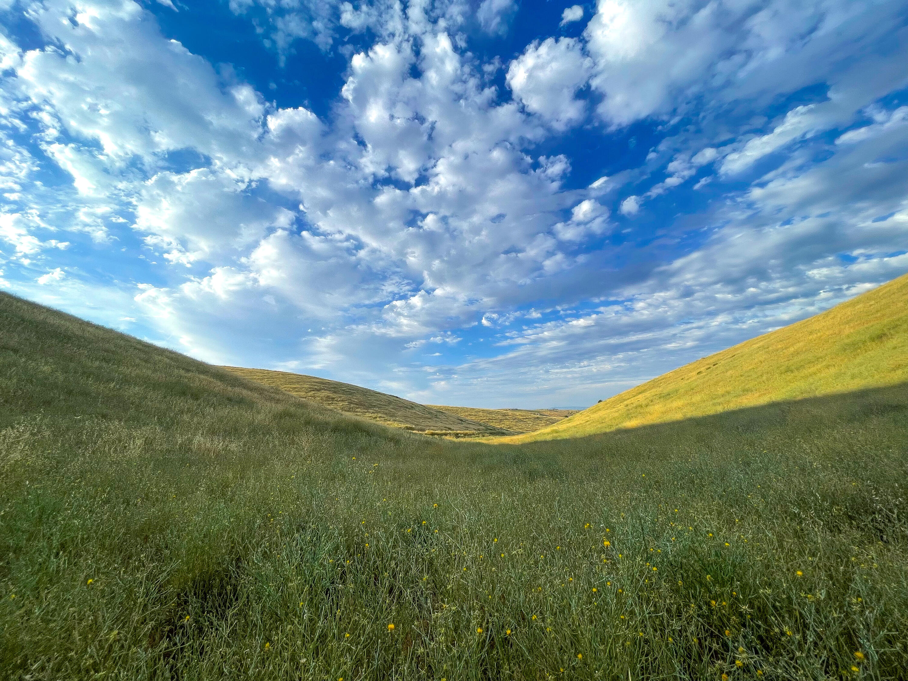 0 East E Highway Templeton, CA 93465 - Photo 23 of 84 12